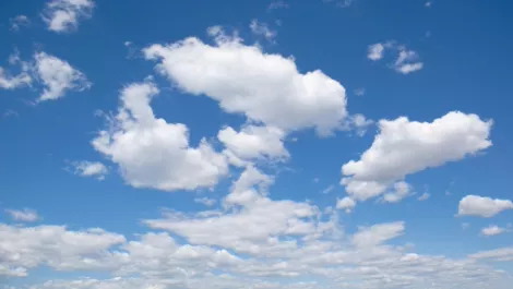 108817241