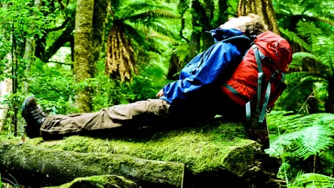 172 karsten napping whirinaki