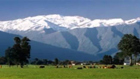 Dairy farm