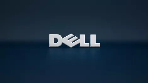 Dell plain