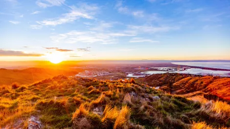 Gettyimages 1253396779