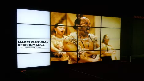 Matrox m9188 auckland museum video wall image