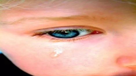 Childabuse2