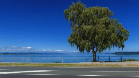 Thinkstockphotos 540856284