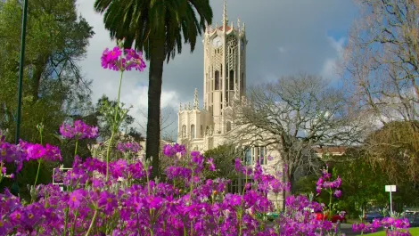 Thinkstockphotos 520638759 uufcxnh