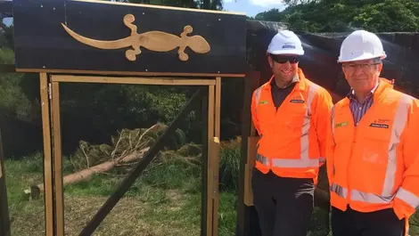 Expressway project protecting native wildlife