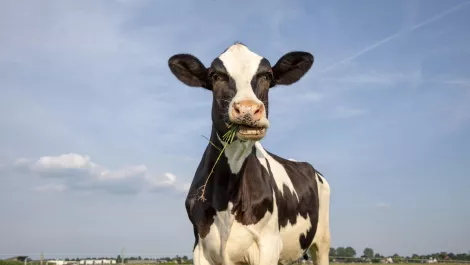 Gettyimages 1218063822