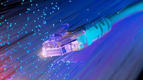 Thinkstockphotos 530541571