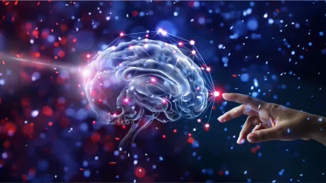 Thinkstockphotos 881350654