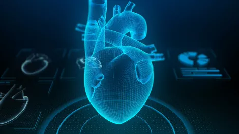 Gettyimages 938049178