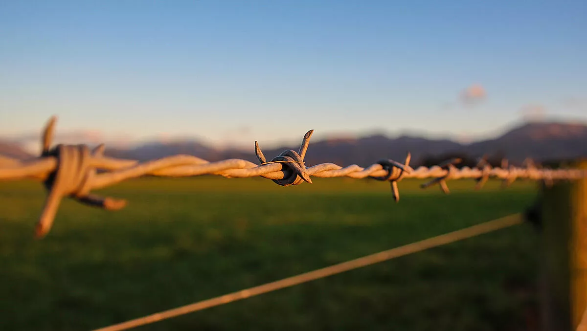 NZ's innovation snagged on 'number 8 wire' report