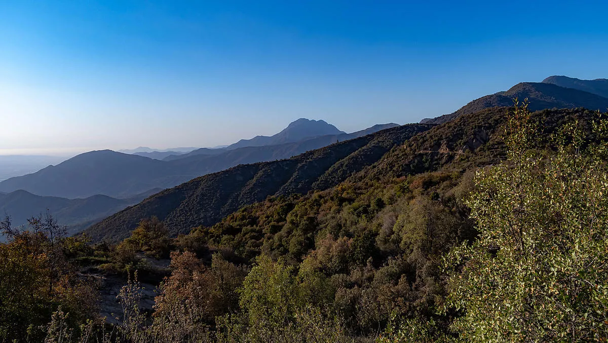 Entel AI and DataRobot use AI to fight forest fires