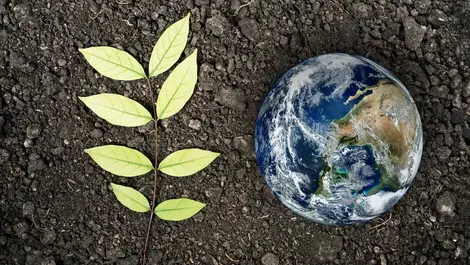 Climate change rules clarified this year